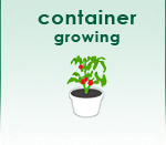 Container Growing